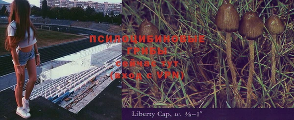 марки lsd Алексин