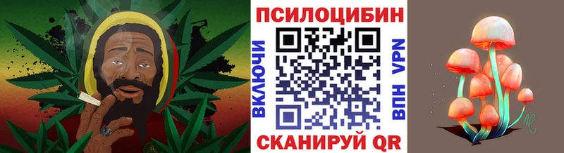 купить  цена  shop наркотические препараты  Галлюциногенные грибы Psilocybe  Козловка 